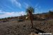 FFL_RTU_20211112_014