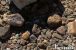 FFL_RTU_20211112_025