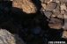 FFL_RTU_20211112_027