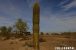FFL_RTU_20211120_001