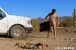 FFL_RTU_20211120_025