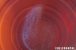 FFL_RTU_20211120_098